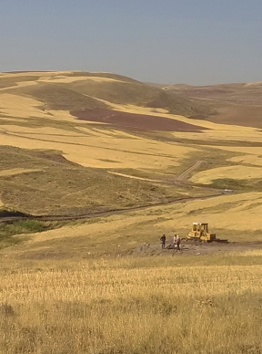 خدمات نظارت در اجرای طرح اکتشاف تکمیلی معدن سرب و روی چنگوره